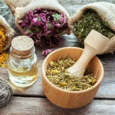 How Herbal Teas Are a Great Way to Include Herbs Into Your Wellness Routine